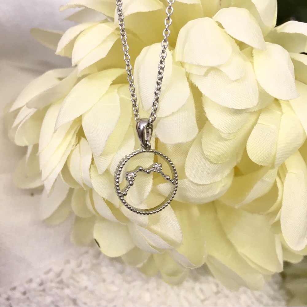 ⭐️ Zodiac AQUARIUS Constellation Star Necklace